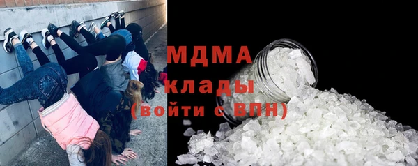 стаф Алексин
