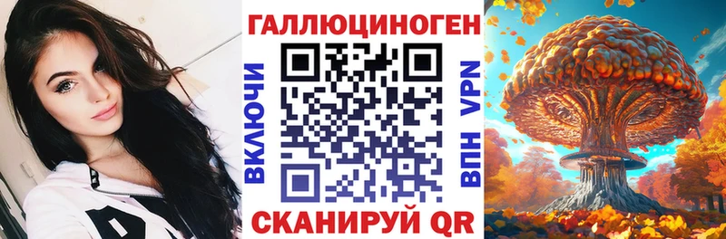 Галлюциногенные грибы Psilocybine cubensis Калач-на-Дону