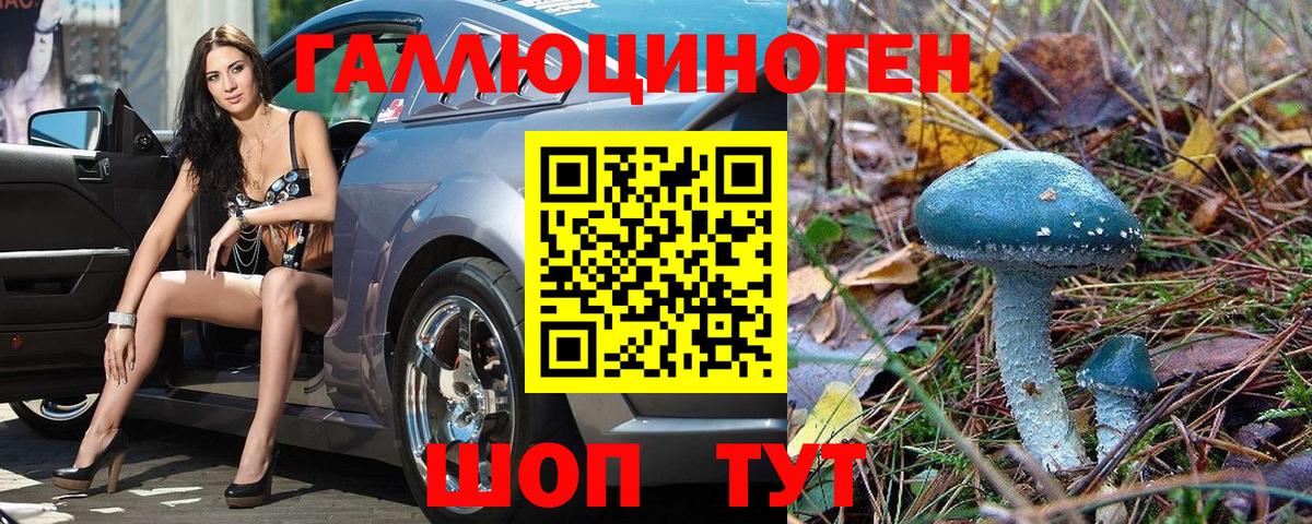 Калач-на-Дону  Псилоцибиновые грибы прущие грибы  Псилоцибиновые грибы GOLDEN TEACHER  Вход с VPN 